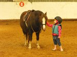 Horse riding for children in Pembrokeshire